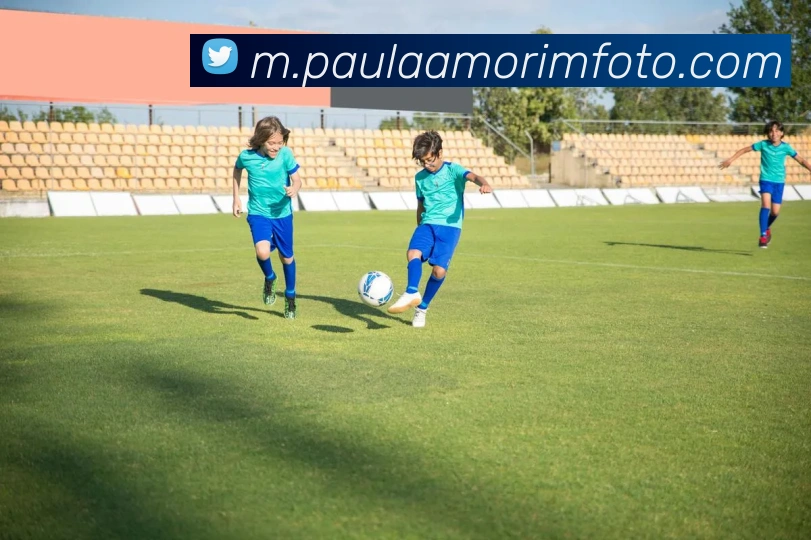 App Interface Preview